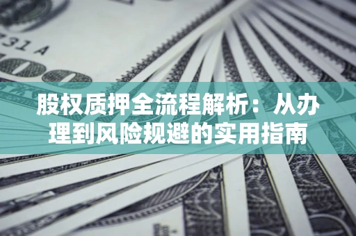 武汉股权质押全流程解析：从办理到风险规避的实用指南