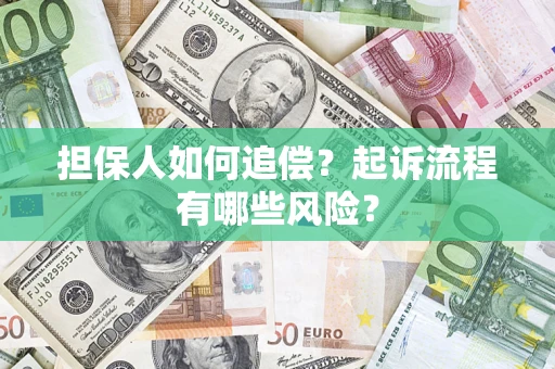 武汉担保人如何追偿？起诉流程有哪些风险？