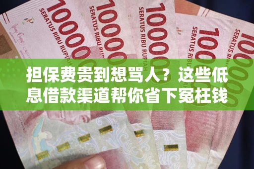 武汉担保费贵到想骂人？这些低息借款渠道帮你省下冤枉钱