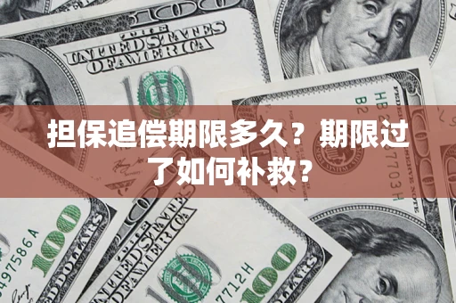 武汉担保追偿期限多久？期限过了如何补救？