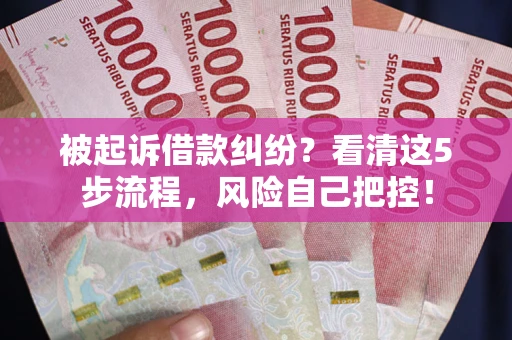 武汉被起诉借款纠纷？看清这5步流程，风险自己把控！