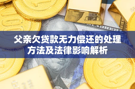 武汉父亲欠贷款无力偿还的处理方法及法律影响解析